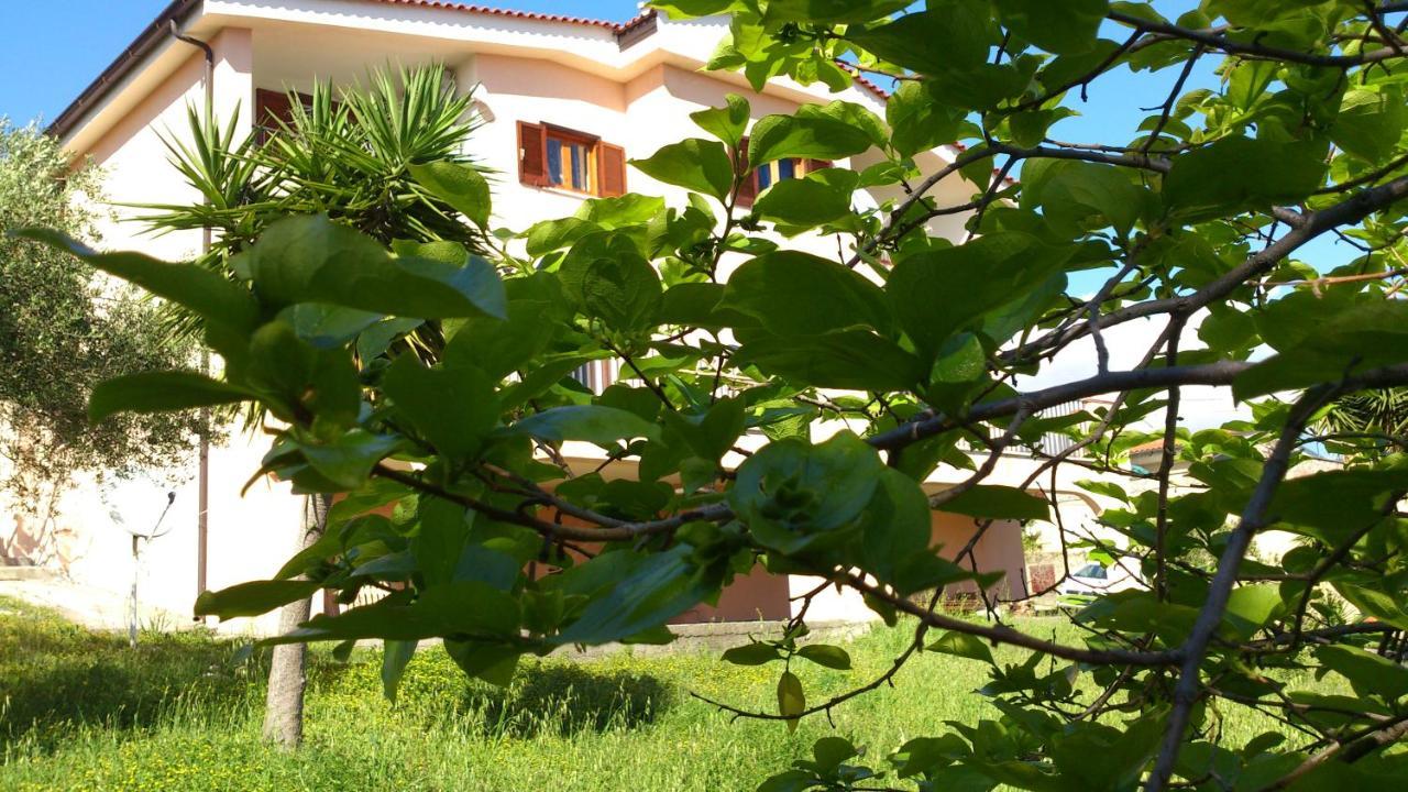 Bed and Breakfast Borgo Marinaro Marina di Camerota Zewnętrze zdjęcie